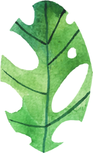 小清新 绿色植物 手绘 插画 节日素材 免扣