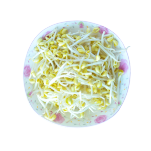 豆芽 蔬菜 有机蔬菜 菜 豆苗 健康蔬菜