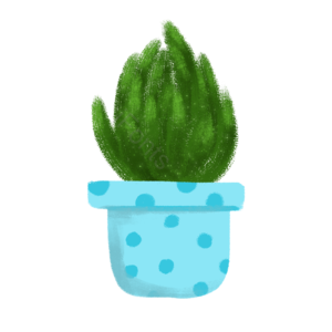 绿植 盆栽 绿色 插画 psd png