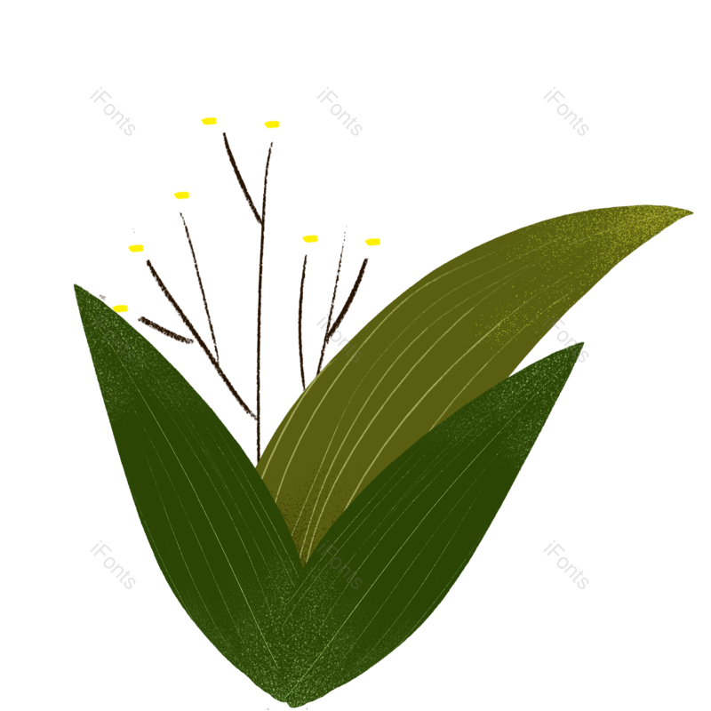 唯美图片,绿叶元素,花朵PNG,小图标免抠素材
