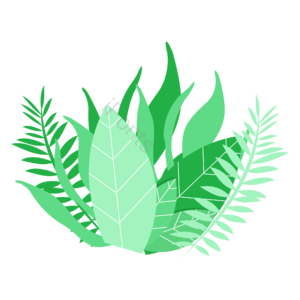 春 天绿色植物 原创春天素材 绿色元素设计 绿植 树叶 春季 春分