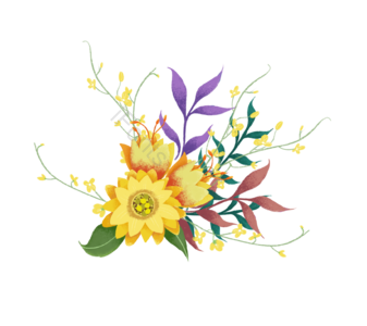 插花  花束 花 植物 叶子 手绘 插画