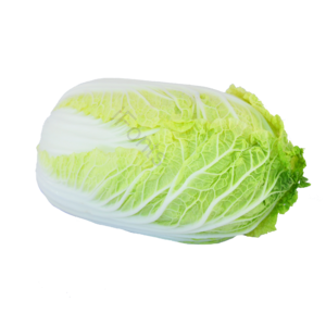 白菜 菜 蔬菜 有机蔬菜 健康蔬菜 绿色蔬菜 健康