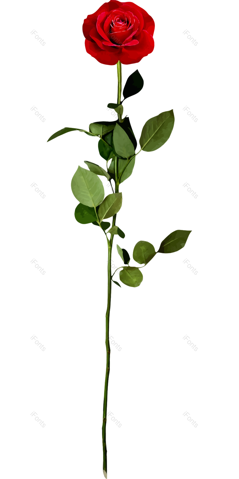 玫瑰花图片,浪漫元素,绿叶PNG,3D免抠素材