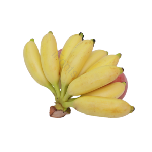 水果 香蕉 芭蕉 水果组合 新鲜的水果 可口的水果