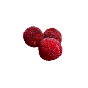 实拍杨梅 杨梅 水果 食物 苏果 健康