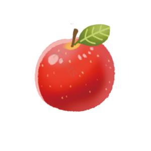 水果 切片 fruit 实物 免扣 苹果