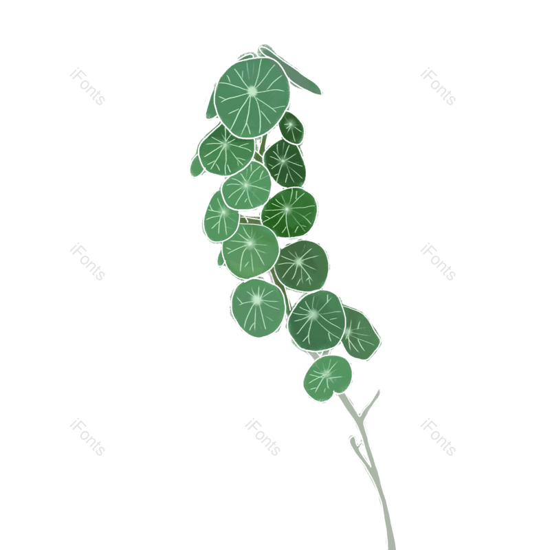 插画图片,盆栽元素,绿色PNG,植物免抠素材