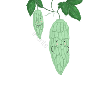 可爱  卡通  拟人  蔬果 