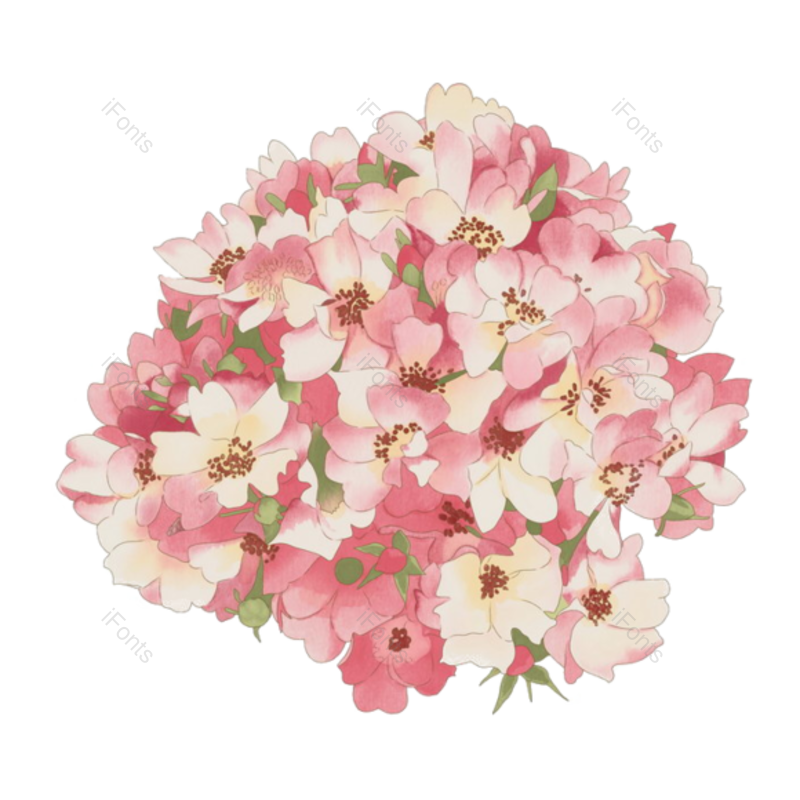 唯美图片,浪漫元素,花朵PNG,鲜花免抠素材
