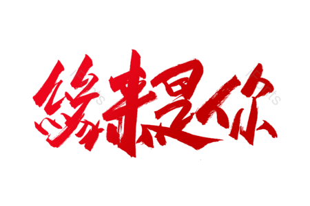 原来是你 爱恋今生 求婚大作战 婚庆 结婚啦 爱情 情人节 书法字