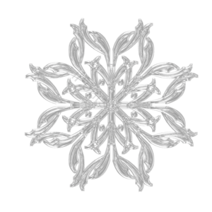 八角 冰冻 雪花 透明 冰晶体 花纹