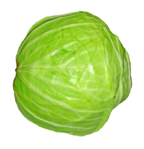 球状 蔬菜 植物 菜品 包菜 食品 健康