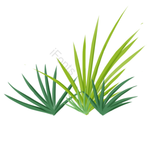 草丛 植物 绿色 叶子 手绘 卡通 免抠 春季