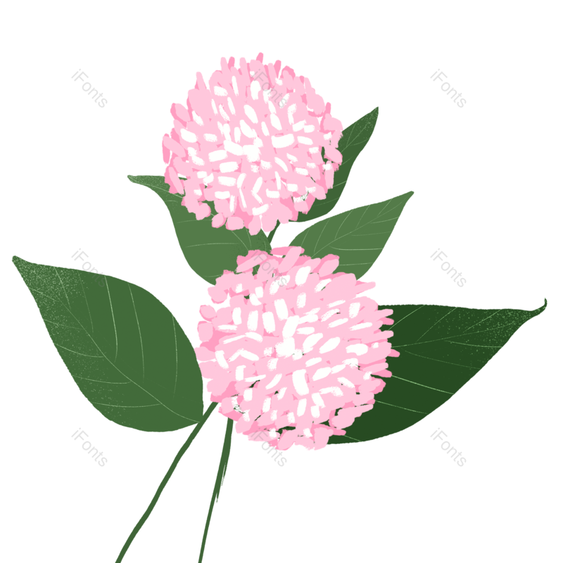 叶子图片,唯美元素,花朵PNG,绿色免抠素材