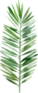 小清新风格 春天 绿色 植物 手绘树叶 装饰 水彩植物 草