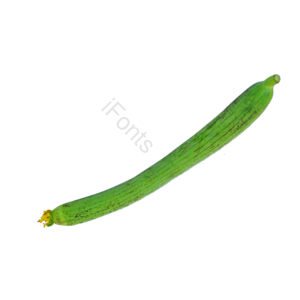 丝瓜 蔬菜 菜 有机蔬菜 绿色蔬菜 健康蔬菜 健康