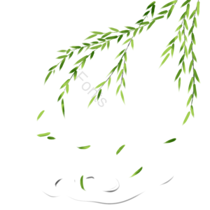 清明节 清明 柳树 柳枝飘 手绘 装饰 绿色 飘落的柳叶