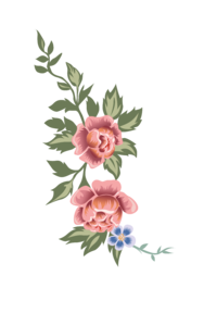 花卉 复古花朵 手绘 插画 做旧 牡丹花 植物 自然