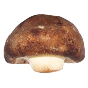 蔬菜 免抠 png 摄影 实物 实拍 摄影 照片