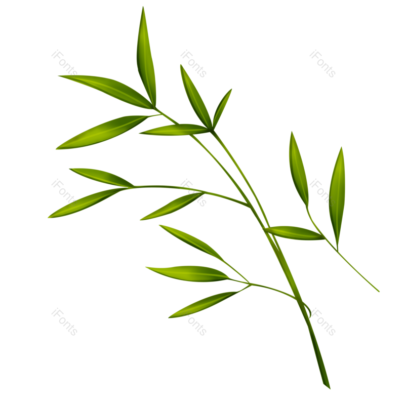 叶子图片,竹叶元素,竹子PNG,春季免抠素材