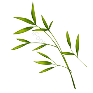 竹叶 叶子 竹子 植物 绿色 手绘 免抠 