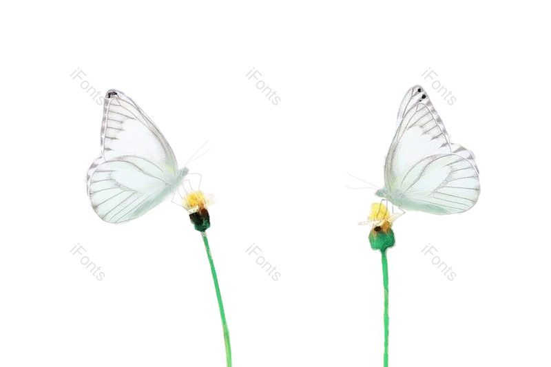 清新图片,蝴蝶元素,花朵PNG,春季免抠素材