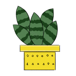植物 绿植 插画 psd 小清新 png