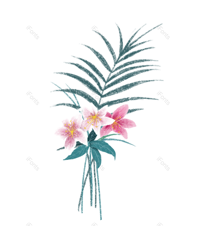 叶子图片,百合花元素,树叶PNG,植物免抠素材