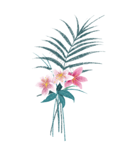 树叶 叶子 百合花 植物 手绘 PNG免抠素材