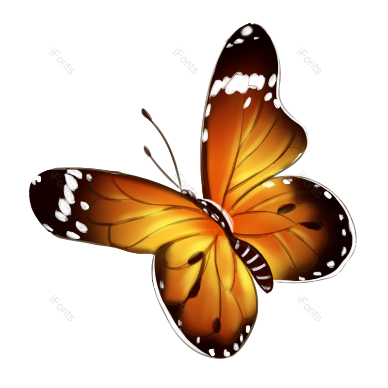 装饰图片,元素元素,插画PNG,蝴蝶免抠素材