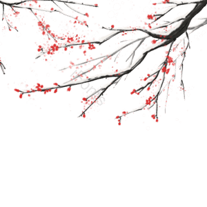 冬季 手绘梅花 梅花 梅 花 手绘设计元素