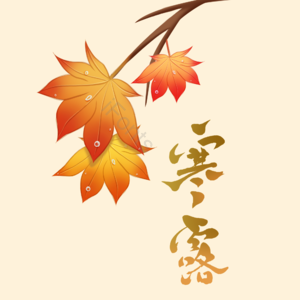 24节气 寒露  手绘 枫叶 露水 毛笔字 字体