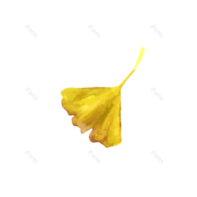 秋天图片,树叶元素,树枝PNG,绿色免抠素材