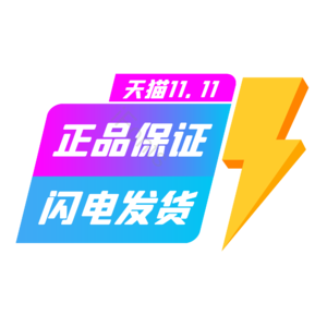 双十一 双11 11.11 促销标签 闪电发货 扁平化