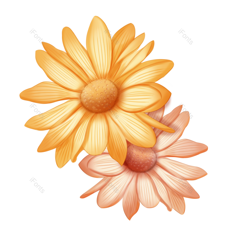 装饰图片,元素元素,菊花PNG,秋天免抠素材