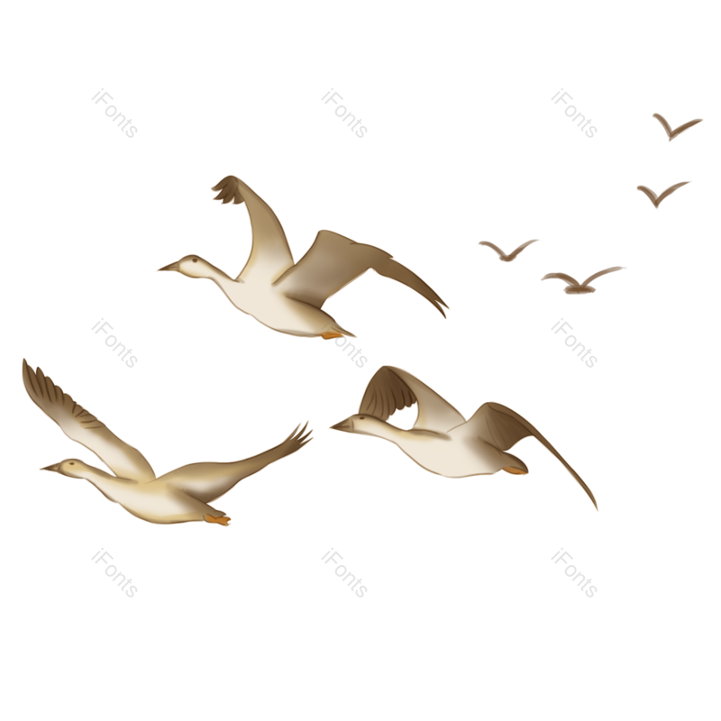 装饰图片,元素元素,秋天PNG,插画免抠素材