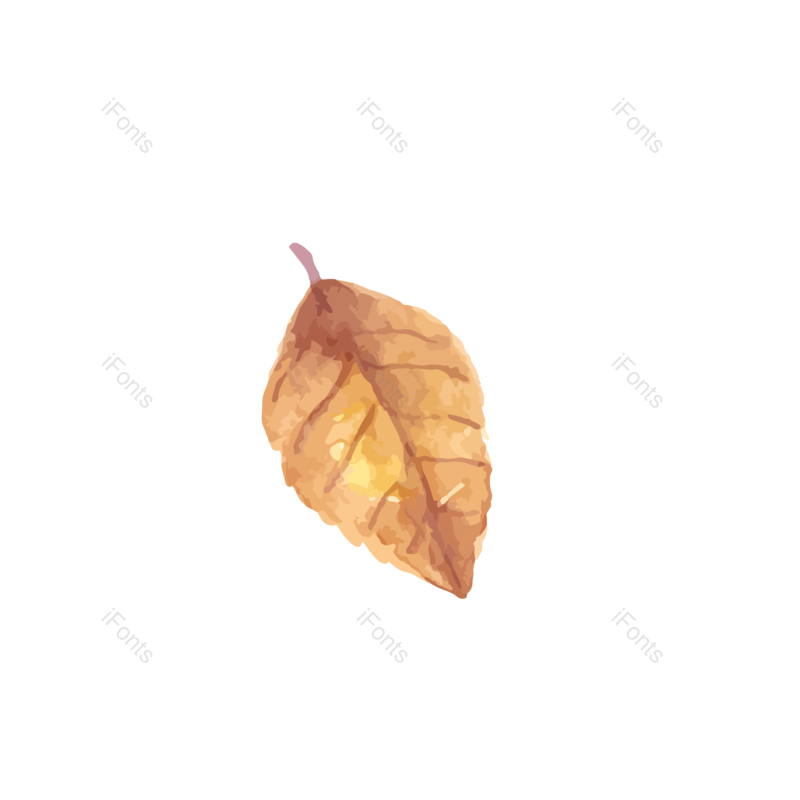 装饰图片,秋天元素,金色PNG,免抠素材