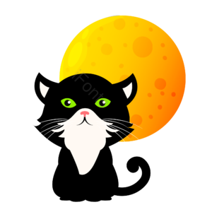 万圣节 halloween 西方鬼节 黑猫 月亮 猫