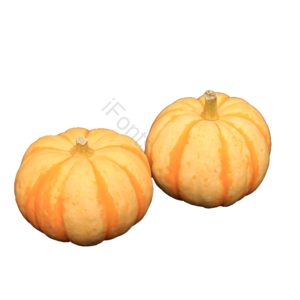 南瓜 金瓜 果蔬 蔬菜 烹饪 菜肴 静物 万圣节