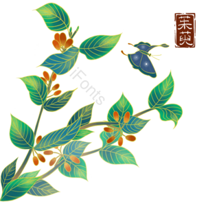 九九重阳节 插茱萸 手绘植物 重阳节 茱萸 小清新 