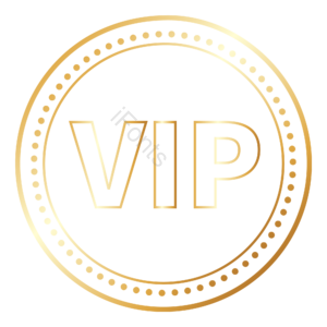 双11 双十一 11.11 促销标签 VIP 金色
