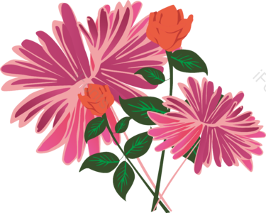 玫瑰  花球  花枝  花朵 