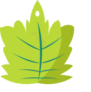 绿色 植物 树叶 叶子 绿叶 春天 春季 植物