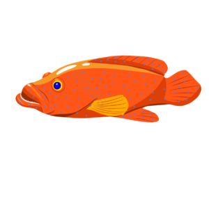 鱼 热带鱼 红色 斑点 海洋生物