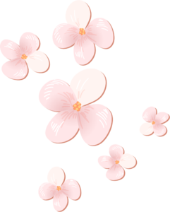 粉色 立体 浪漫 花朵 花 矢量 简约 C4D