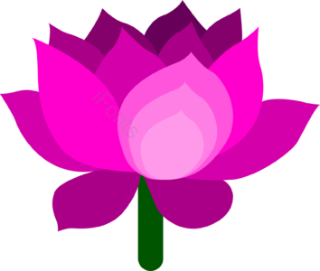 植物 装饰 矢量 粉色 一朵花 盛开 手绘 花卉