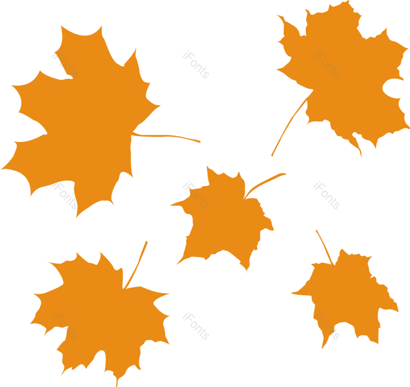 简约图片,枫叶元素,树叶PNG,平面免抠素材
