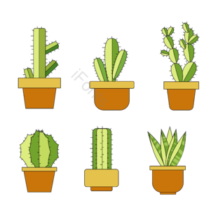 仙人掌 植物 绿色 刺 墨西哥 五月五节 元素 精致