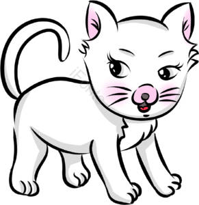 猫 猫咪 小猫 可爱 卡通 白色 手绘 插画